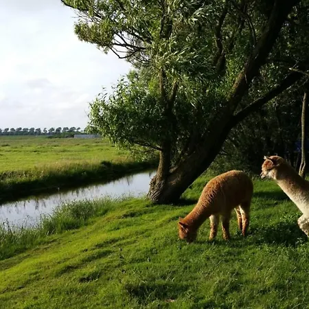 Riant Luxe, Landelijk Appartement