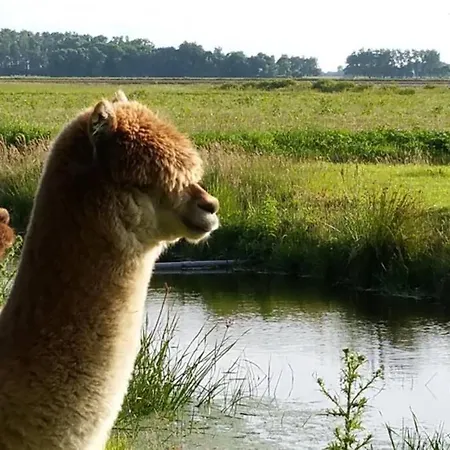 Riant Luxe, Landelijk Appartement *