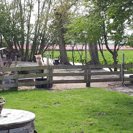 Riant Luxe, Landelijk Appartement Sint Maartensbrug